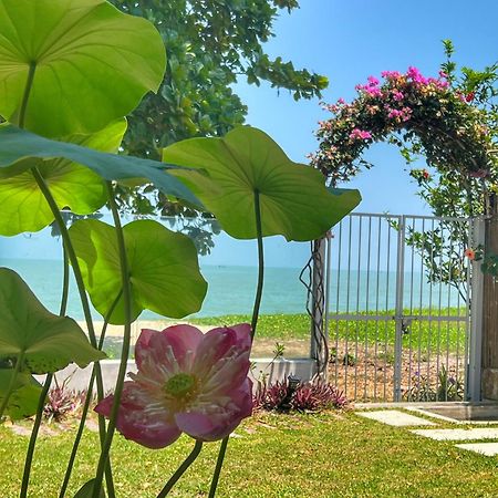 Smell rose beach garden Batu Feringgi Exteriör bild