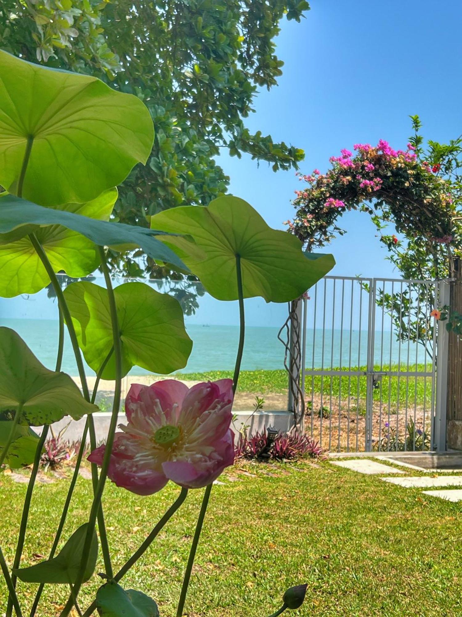 Smell rose beach garden Batu Feringgi Exteriör bild